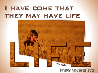 John 10:10 I Have Come That They Might Have Life (windows)02:16